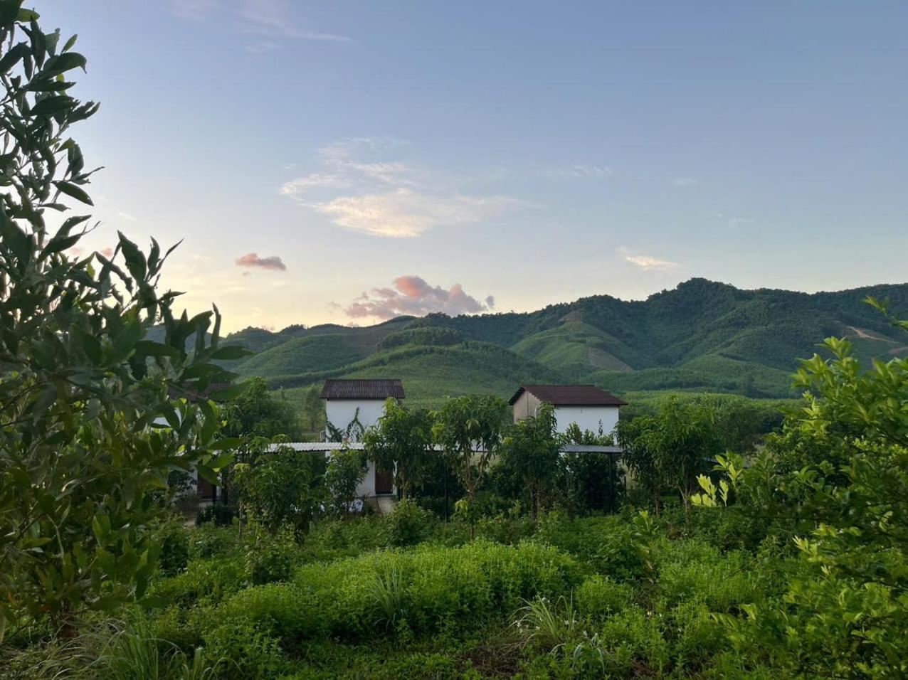 Nguyen Shack Retreat Resort ฟ็องญา ภายนอก รูปภาพ